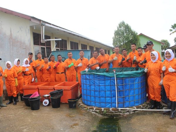 Panen Ikan Lele TEVA Agribisnis Perikanan Air Tawar