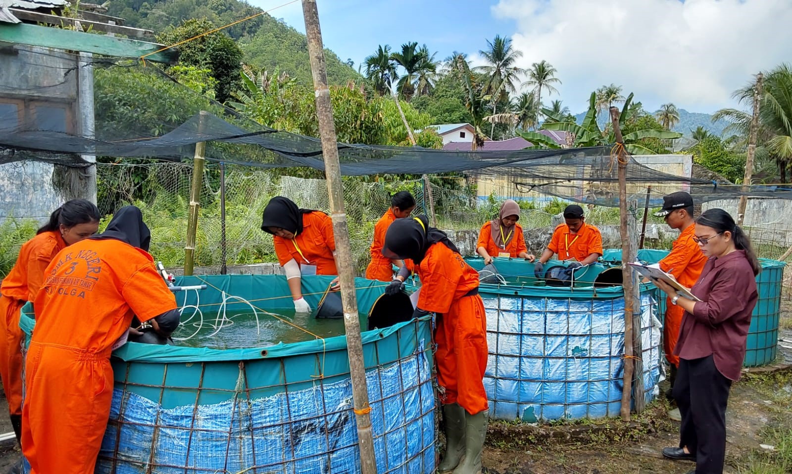 Budidaya Perikanan Air Tawar
